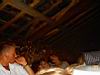 Examenfeest0908-0112.JPG